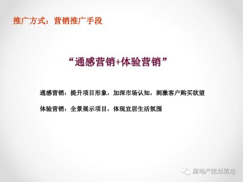 策劃 2019年霸州市某地產項目營銷策劃報告